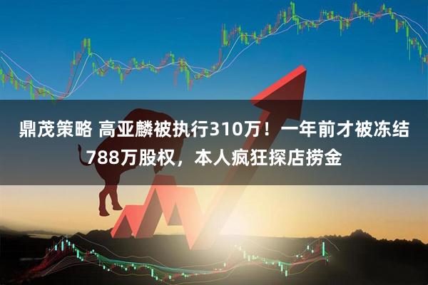 鼎茂策略 高亚麟被执行310万！一年前才被冻结788万股权，本人疯狂探店捞金